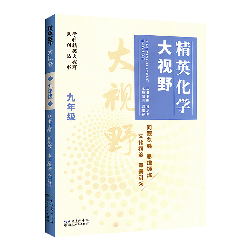 精英化学大视野九年级