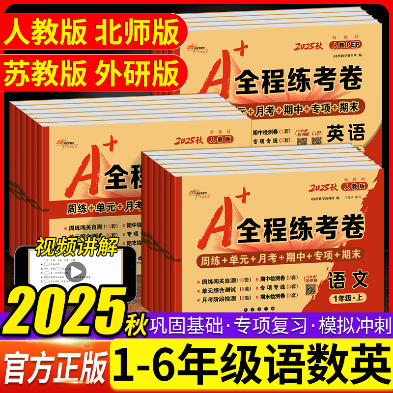 2025秋版A+全程练考卷
