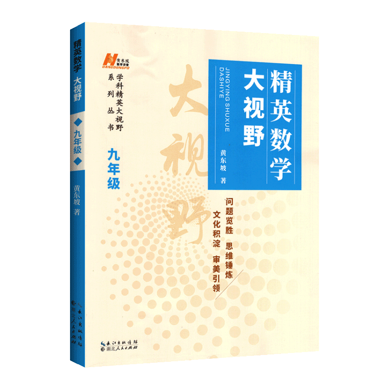 精英数学大视野九年级