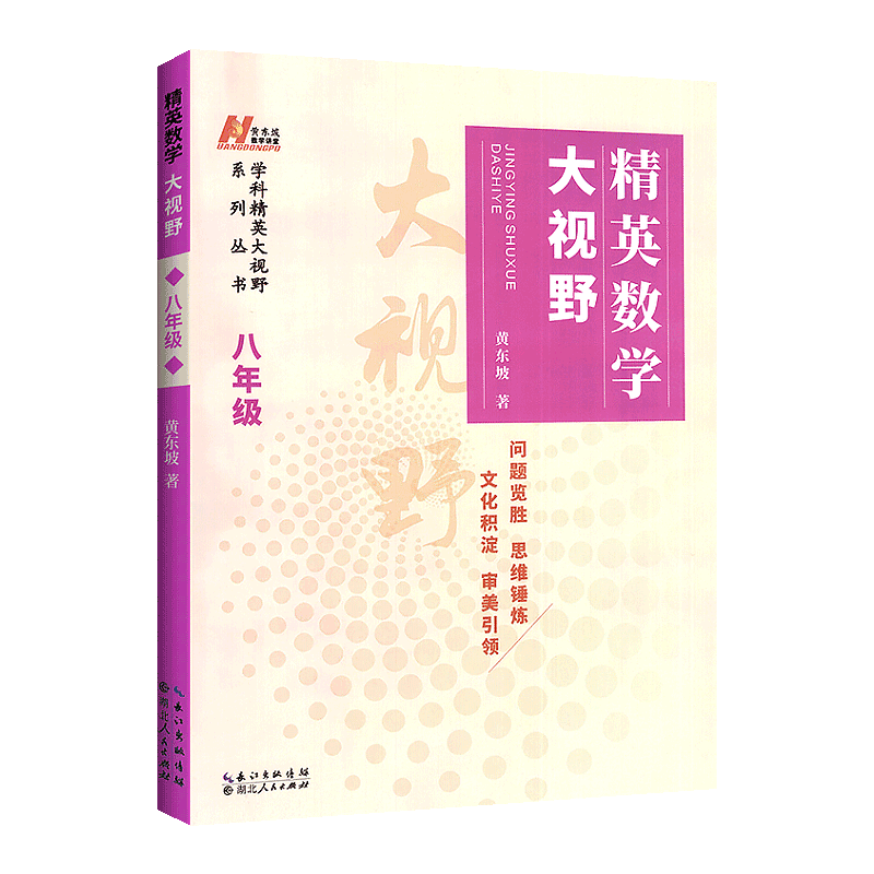 精英数学大视野八年级