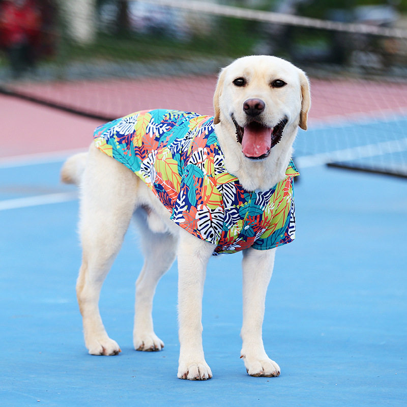 金毛拉布拉多边牧大型犬狗狗夏季薄款中大型犬宠物夏威夷开胸衬衫