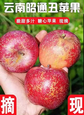 正宗云南昭通冰糖心丑苹果脆甜多汁新鲜当季水果果园现摘产地直发