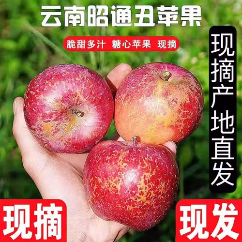 正宗云南昭通冰糖心丑苹果脆甜多汁新鲜当季水果果园现摘产地直发