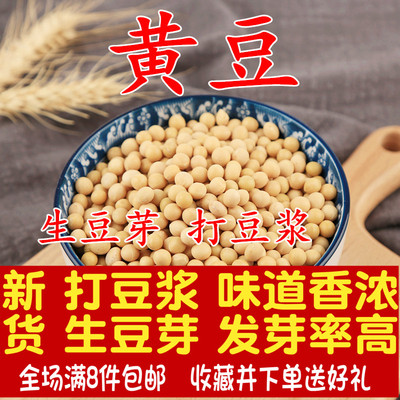 今年新黄豆农家自种粒大豆打豆浆