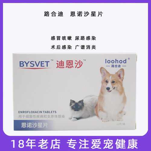 猫感冒恩诺沙星咳嗽流鼻涕打喷嚏