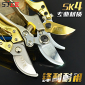 上匠园艺剪刀 果树工具修枝剪粗树枝剪修花剪刀园林花木修剪工具