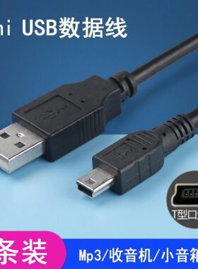 ：十度扩音器DC5V梯形充电线