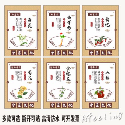 中医中草药常识养生文化墙贴文创装饰画宣传健康养生学校海报挂图