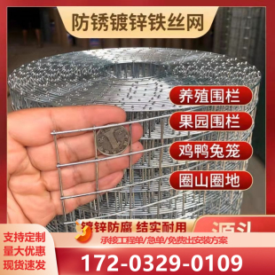 热镀锌钢丝网防锈铁丝网围栏养殖鸡鸽防鼠鸟笼兔笼蛇圈地网格隔离
