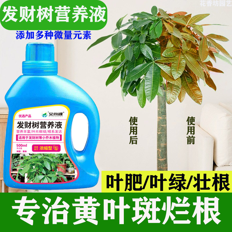 发财树营养液肥料专用肥叶斑病专用药治黄叶枯叶烂根黄白斑杀菌剂
