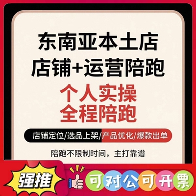 （议价）TK东南亚本土店陪跑