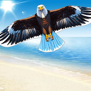 老鹰风筝潍坊新款儿童卡通成人专用传统高档网红微风易飞带线驱鸟