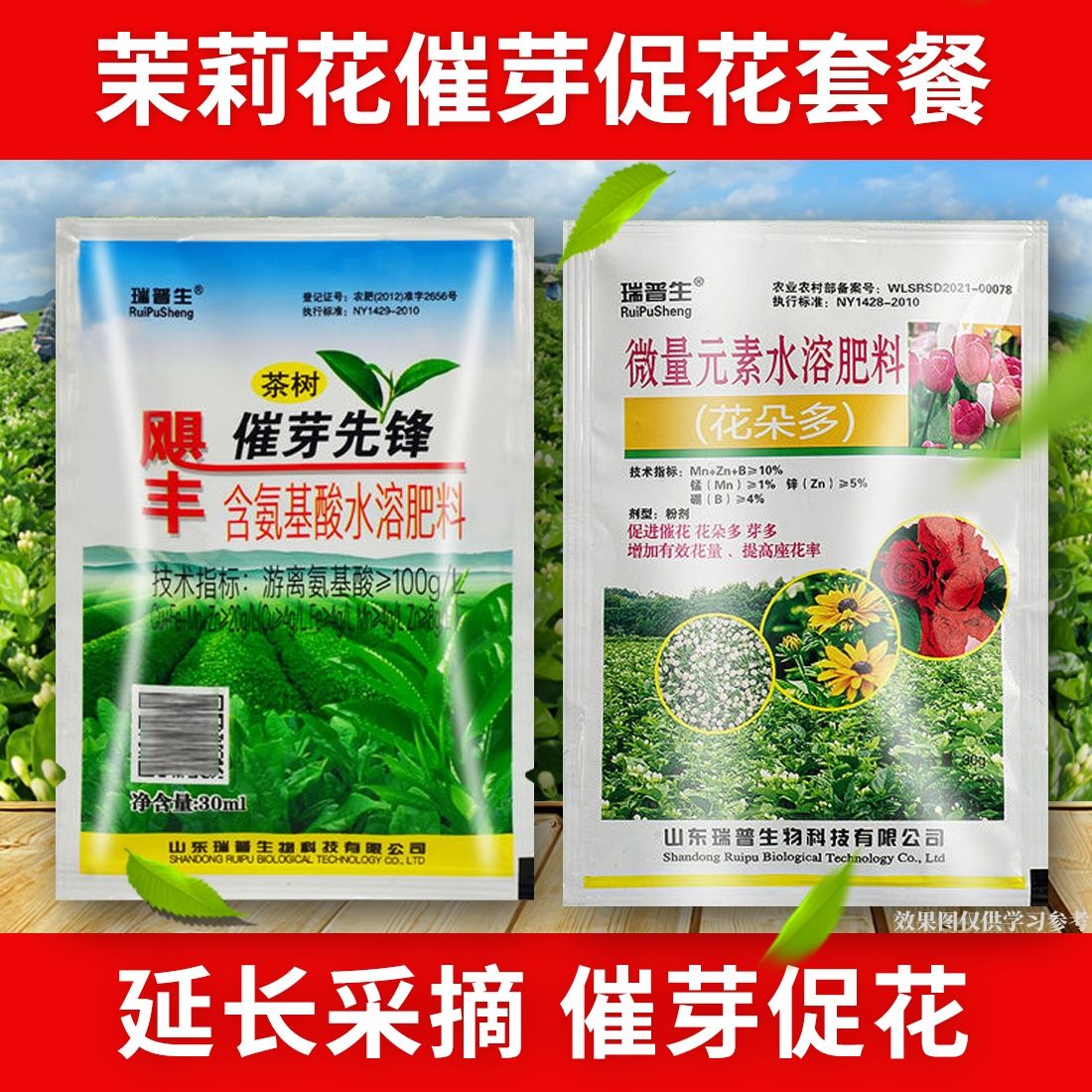 广西茉莉花基地催芽素花朵多组合爆芽催花延长花期增加花量催芽素图片
