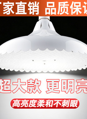 新国标LED白光灯猪肉熟食市场灯