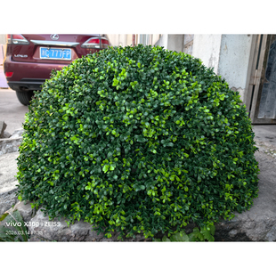 户外绿植井盖遮挡装 饰品空心大草球仿真草球女贞叶黄杨耐晒抗氧化