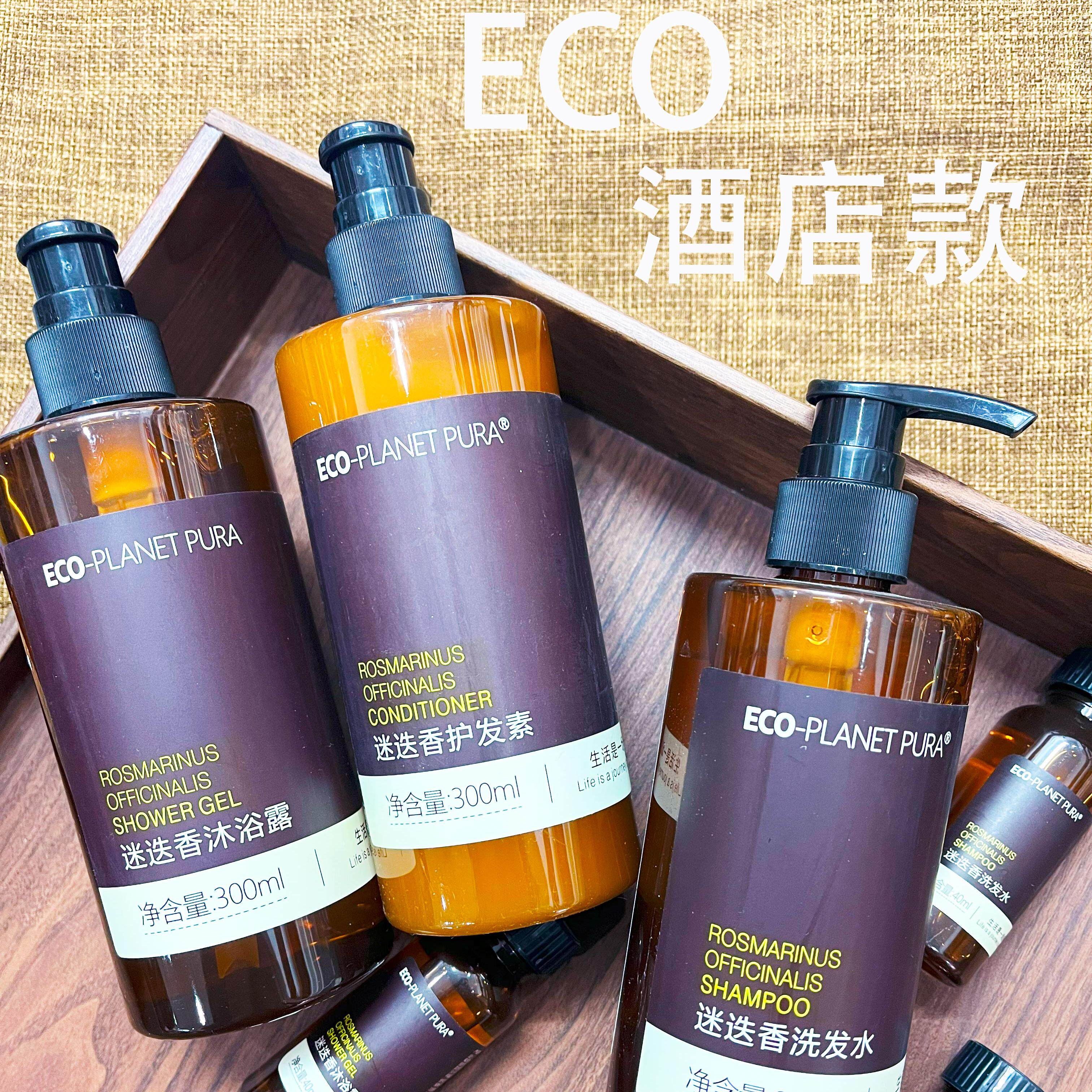 ECO迷迭香沐浴露持久留香乌木香根草控油清洁酒店专用洗发水洗护