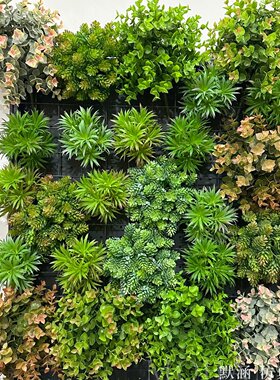 塑料迷你植物景观装饰绿植草