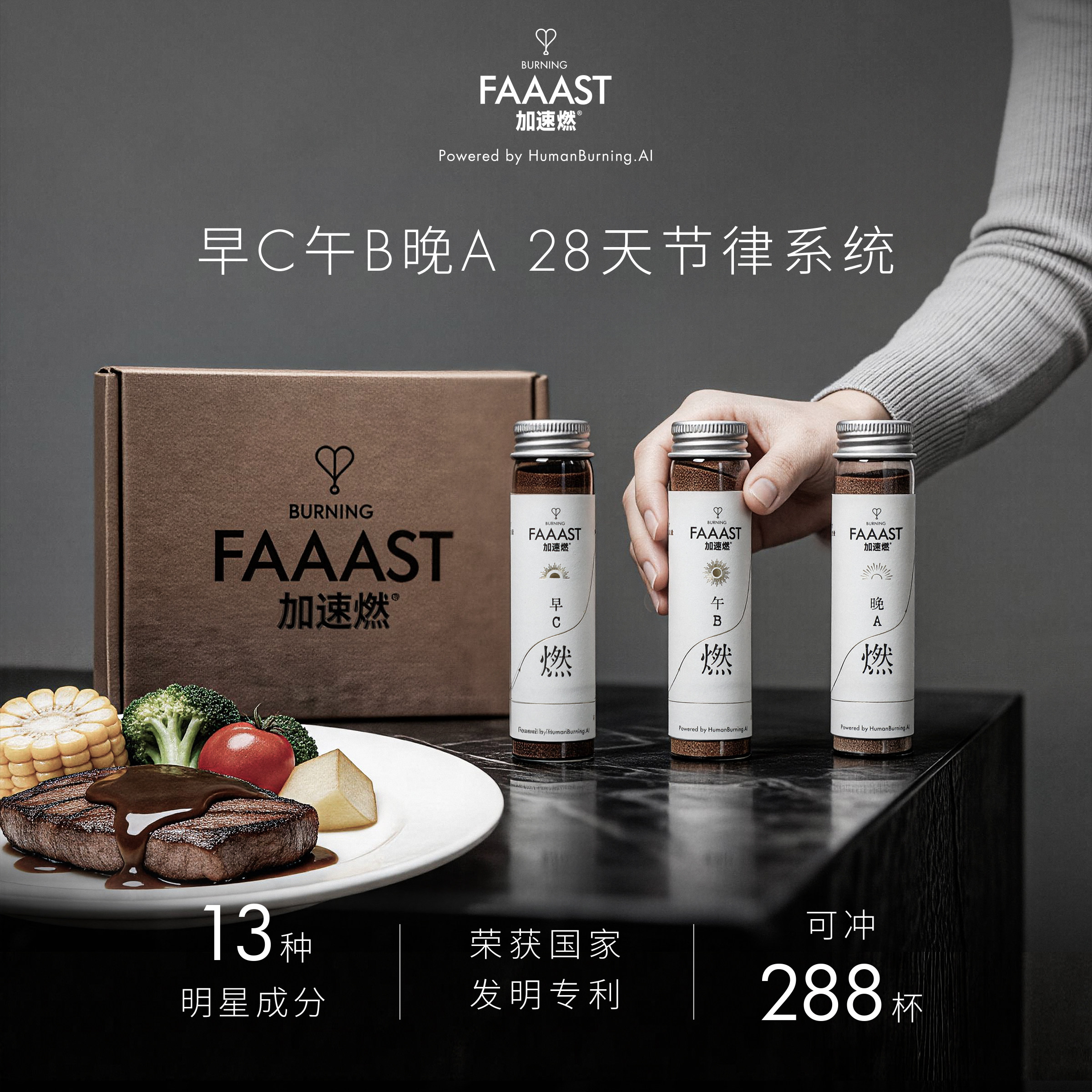 加速燃早C午B晚A节律系统