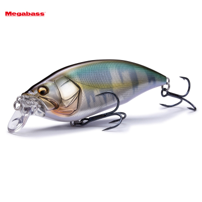 日本进口大型浮水米诺BIG-M