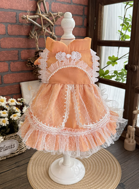 MZ原创宠物猫咪狗狗兔子衣服公主裙子亮橙色春秋款比熊泰迪约克夏