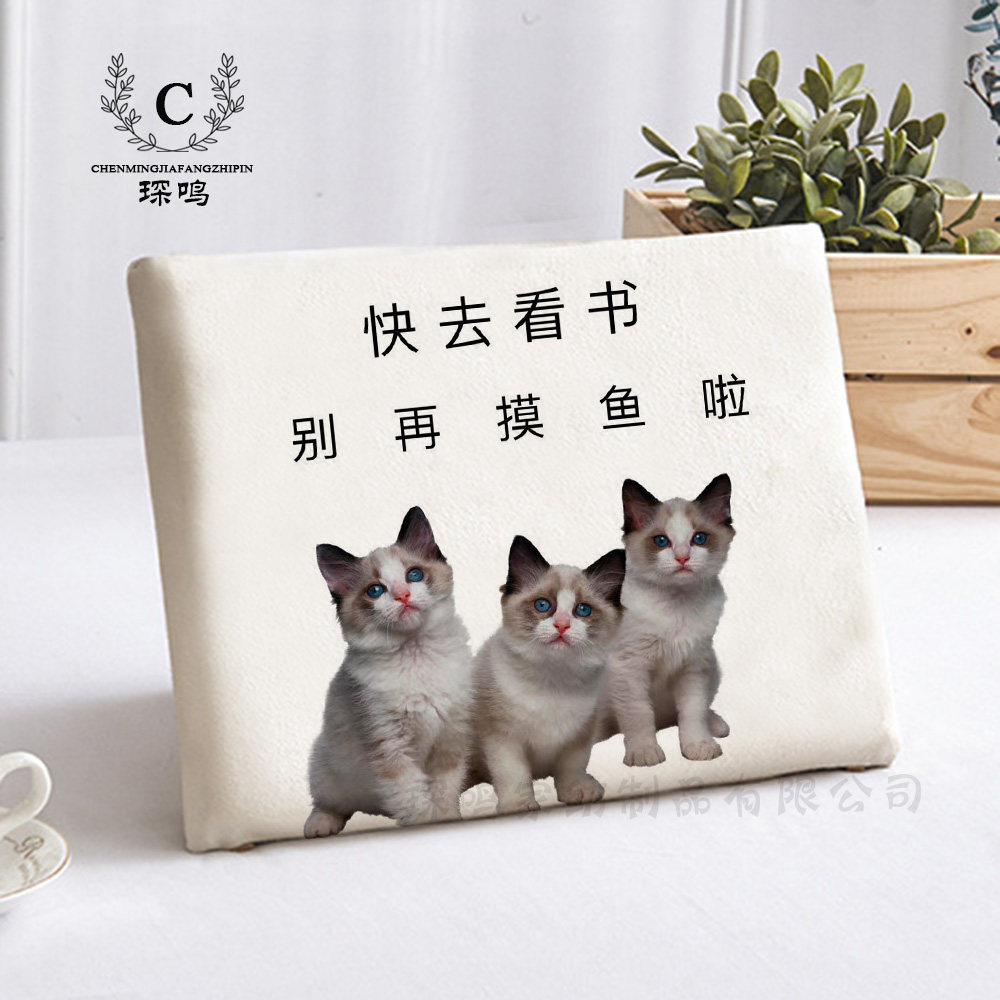 读书励志短绒河北卡通实用坐垫
