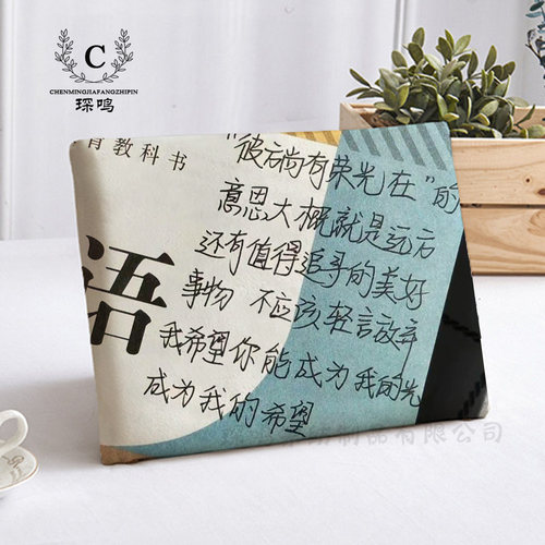 读书励志短绒河北卡通实用坐垫