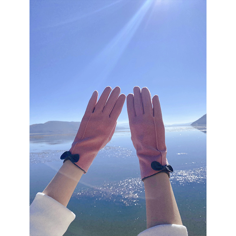 秋冬天女士防风寒加绒加厚手套