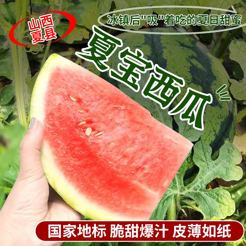山西夏县夏宝西瓜新鲜脆甜酥脆皮薄如纸当季水果