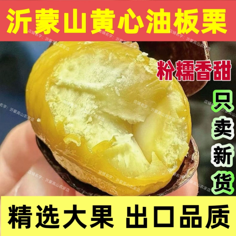 新鲜生板栗2026沂蒙山黄心油栗子老树新鲜油板栗黄心粉糯香甜大果