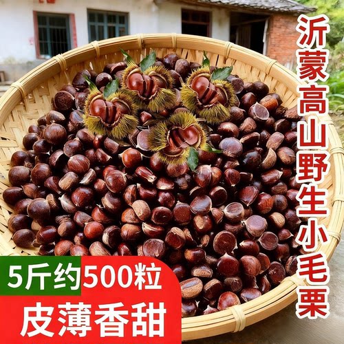 野生小板栗小油栗2025新鲜野生小栗子高山老树小板栗小颗粒炒栗子