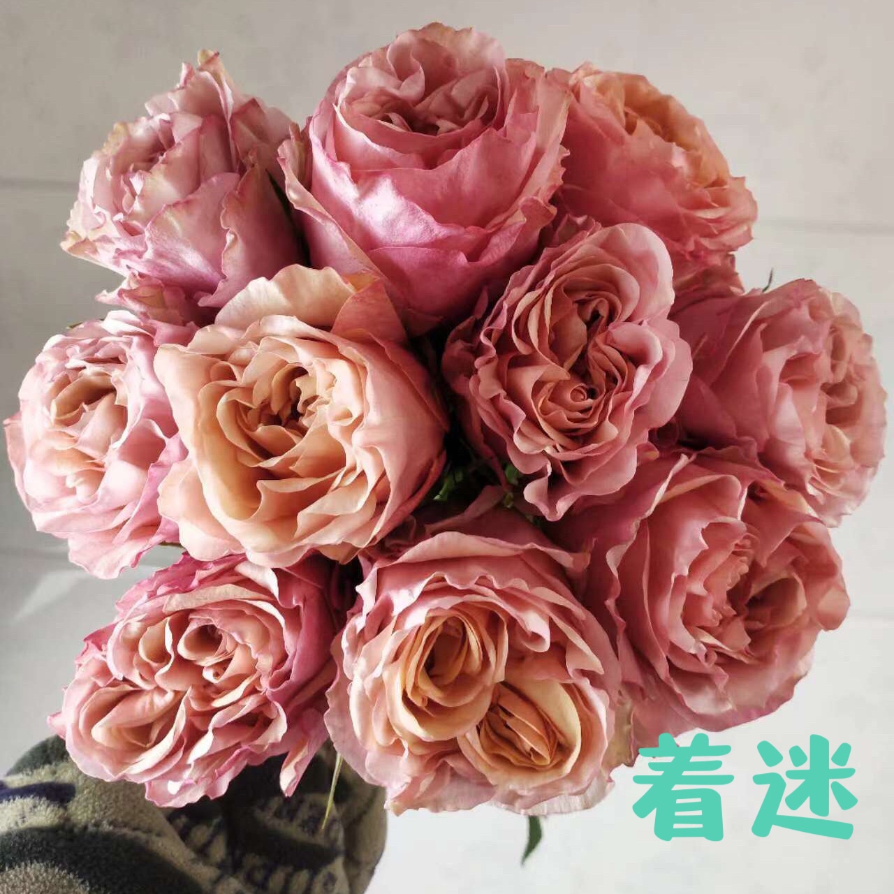窗台阳台庭院春夏秋大花