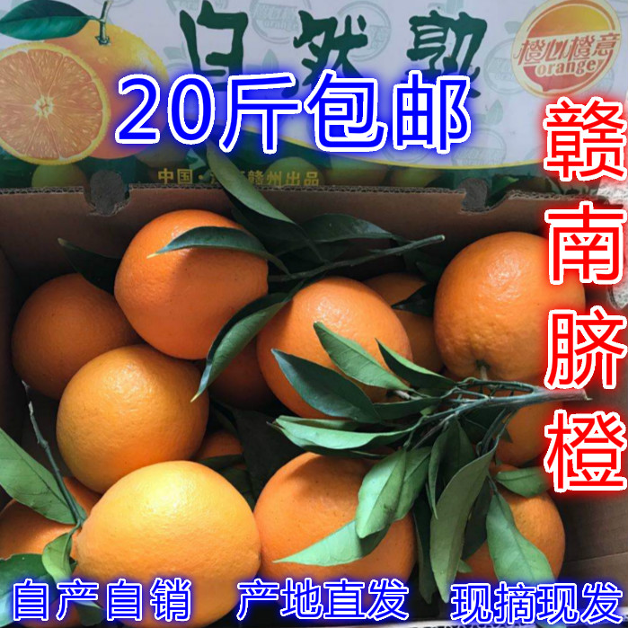江西赣南脐橙褚橙赣州安远甜橙子孕妇新鲜脐橙水果手剥橙20斤包邮