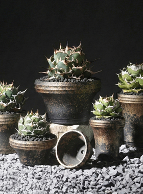 藤原浩潮流块根植物手工花盆有孔