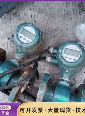 横河电磁流量计AXF系列，绿色外壳，带L显示屏，成色如图询价