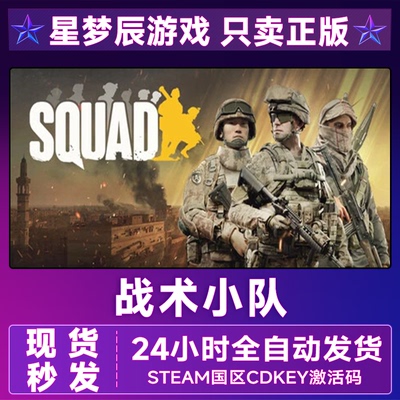 Steam国区战术小队正版激活码