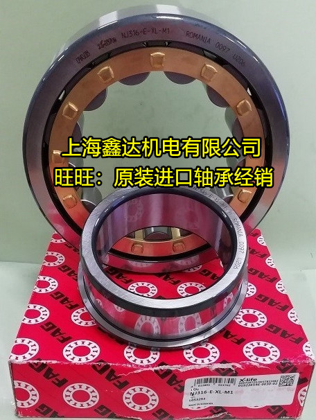 德国FAG进口轴承NJ303 304 305 306 307 308 309-E-XL-TVP2-C3 M1