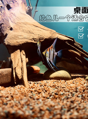 小智世界桌面水族鱼缸南美风办公