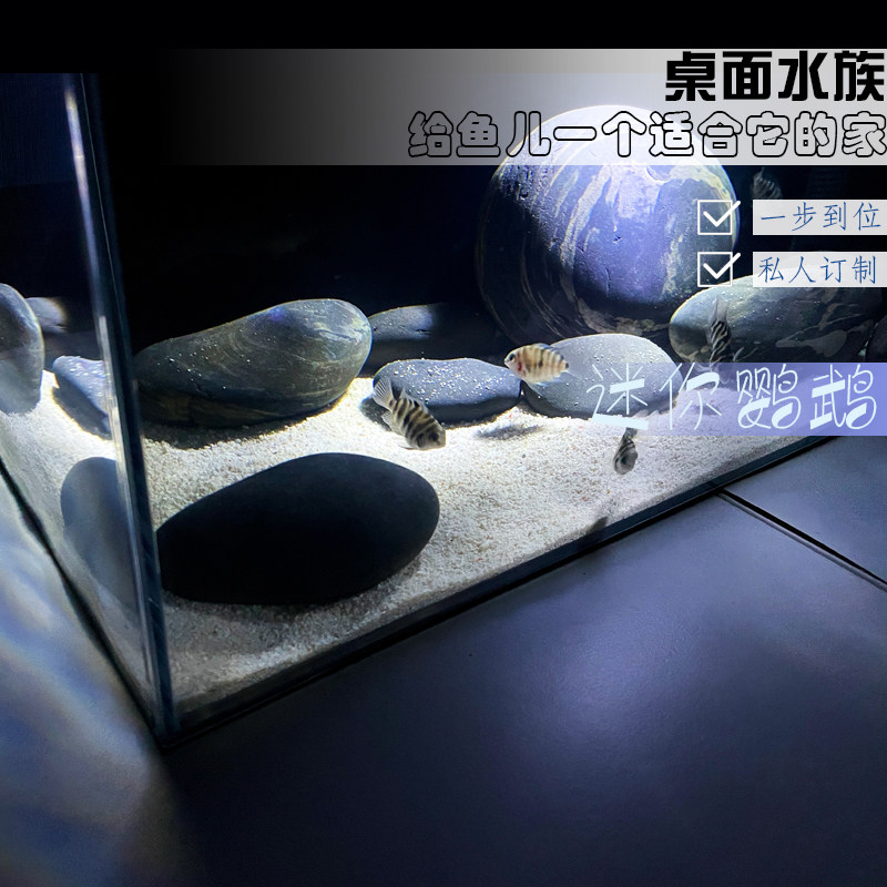 小智世界超白桌面小型鱼缸长江石造景宿舍客厅迷你免换水族箱全套
