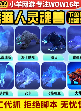 魔兽世界熊猫人代练灵魂兽鬼脚蟹安卡大角班萨罗斯马格瑞亚火龟