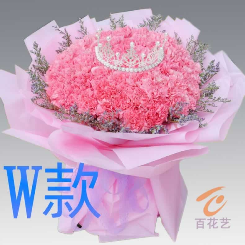 生日探望康乃馨湖南衡阳花店送花衡阳县衡南县衡山县同城鲜花速递