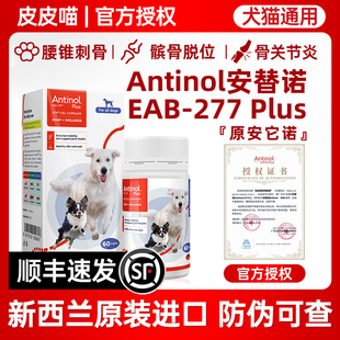 安替诺Antinol软骨素安它诺277安适得髌骨脱位宠物猫狗关节炎鱼油