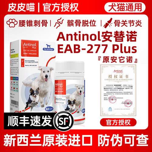 新西兰安替诺Antionl髌骨脱位