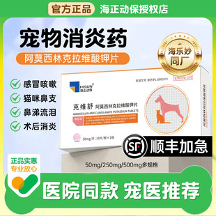 克维舒阿莫西林克拉维酸钾片宠物消炎药专用猫鼻支猫咪狗狗消炎片