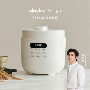 【日韩同款】olayks立时圆满无涂层电压力锅家用5L电饭煲锅高压锅