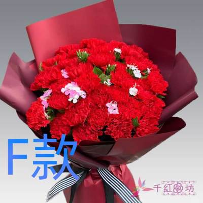 生日祝寿康乃馨陕西汉中花店送花镇巴县留坝县佛坪县同城鲜花速递