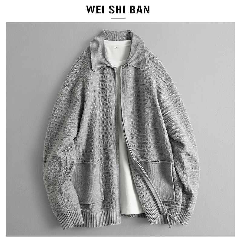 冬季法式松弛感保暖毛衣男款2025新贵感大翻领拉链开衫针织衫外套