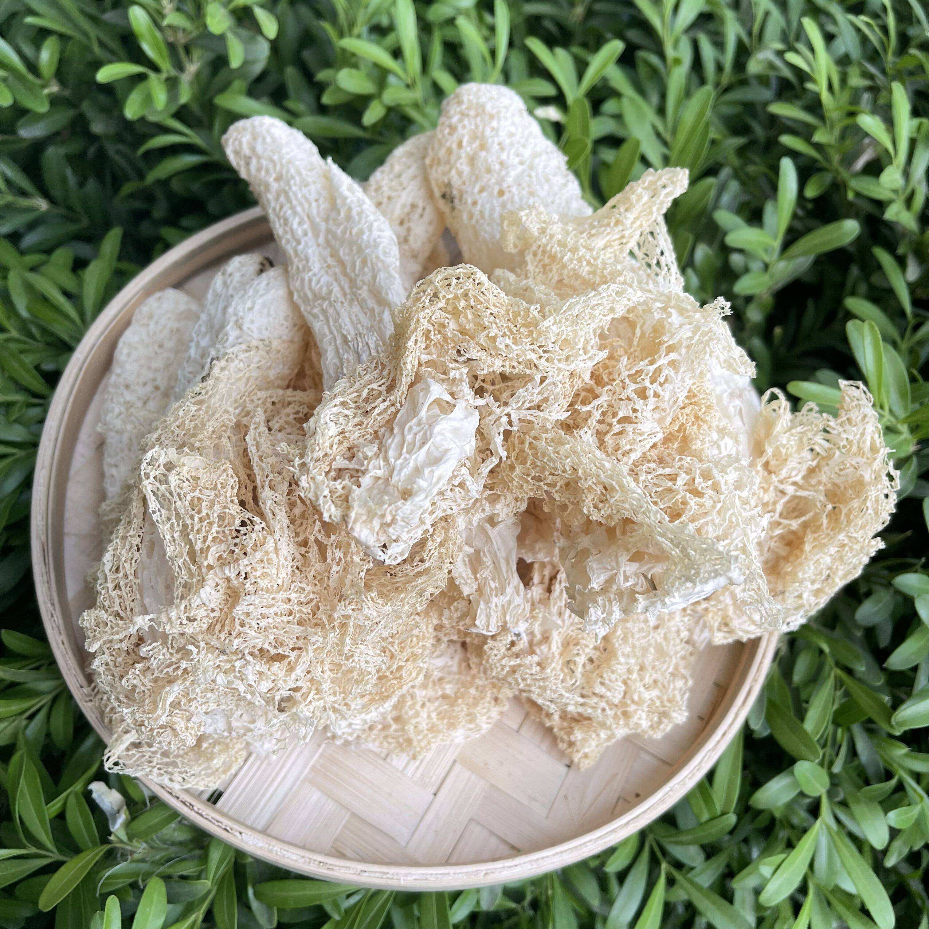 特级长裙竹荪干货食用菌天然煲汤食材天然长裙竹荪60克1包