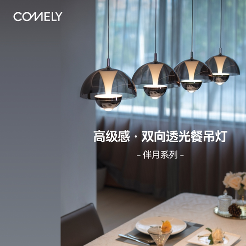 新特丽餐厅吊灯设计师款