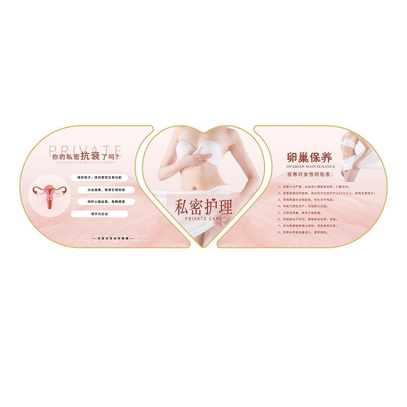 美容院私密护理装饰画产后修复