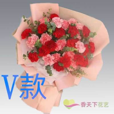 生日康乃馨新疆阿克苏花店送花新和拜城乌什阿瓦提县同城鲜花速递